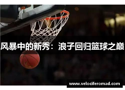 风暴中的新秀：浪子回归篮球之巅